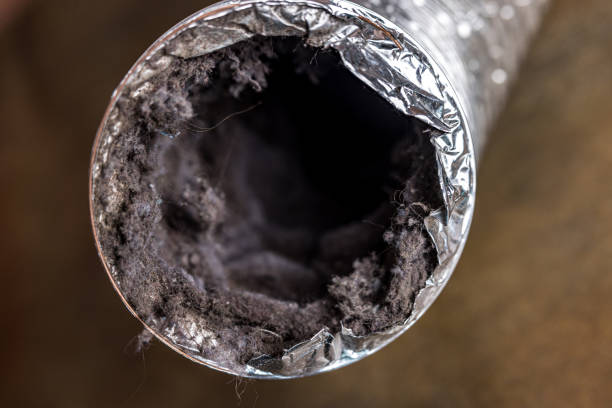 Best Air Duct Mold Removal  in Genesee, ID